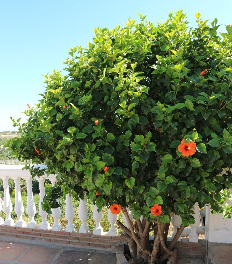Villa Sunshine Countryside Resort Frigiliana Luaran gambar
